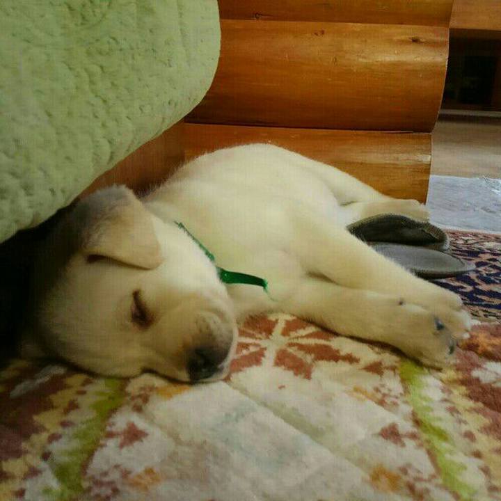 9b6046e1 de9b 4354 84a8 756dd781e3ce