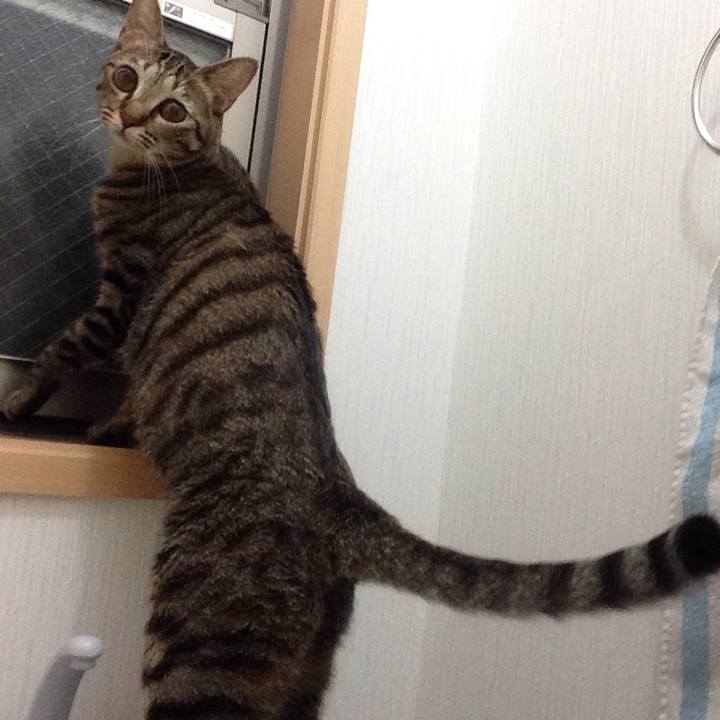 9b607184 066b 462e a5a1 a107b45677f1