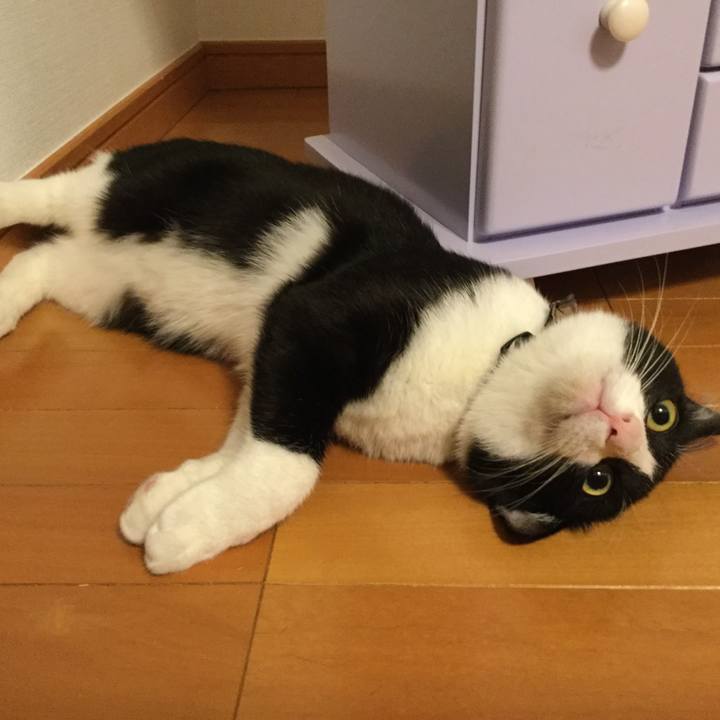 9b60c58d 6c08 4005 8dcf 1169b8c2db6d