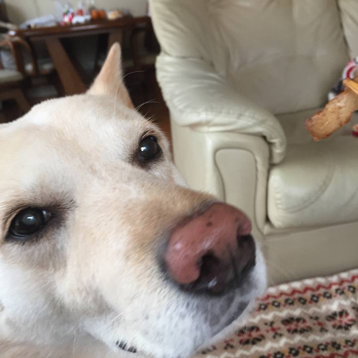 9b61fbed e49a 4962 abc3 a0afda64d2ee