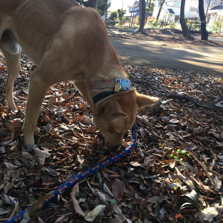 9b6290bf e113 48ac bbdb 04e0b4daf83d