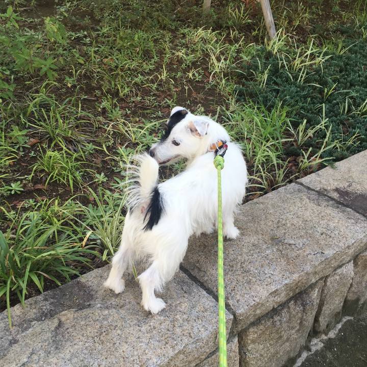 9b63a29d 8f7f 48a7 92c0 47656e230d50