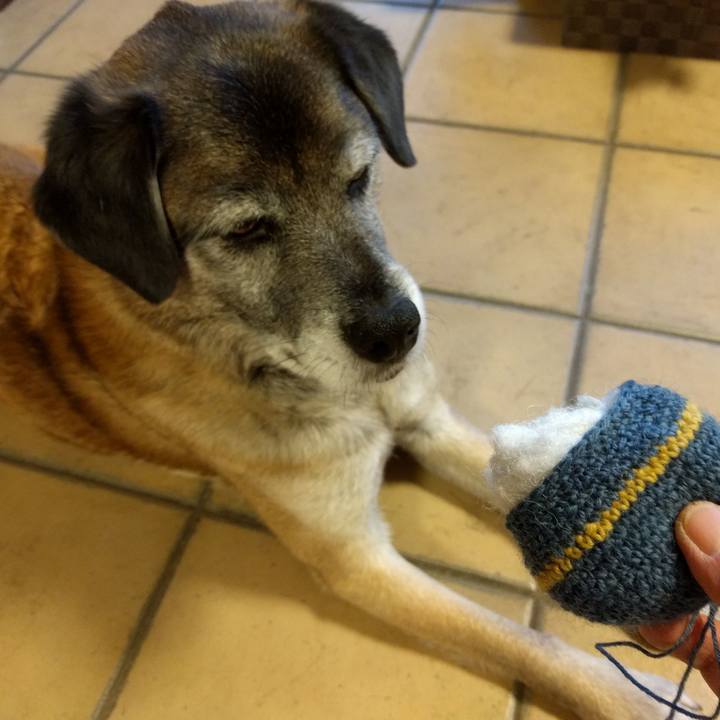 9b647bd3 07b0 44d7 b552 ec2575fe2dd1