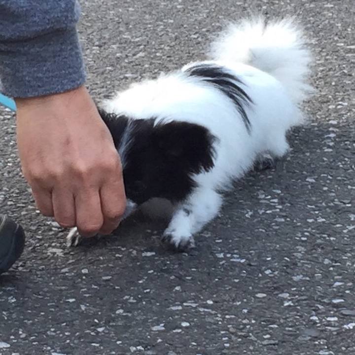 9b64b29c 8654 4a08 93c4 2aec0b5446a0