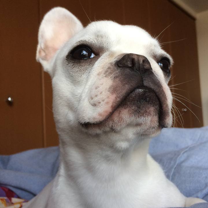 9b651972 0121 41f9 9349 aa10dfc83fa4