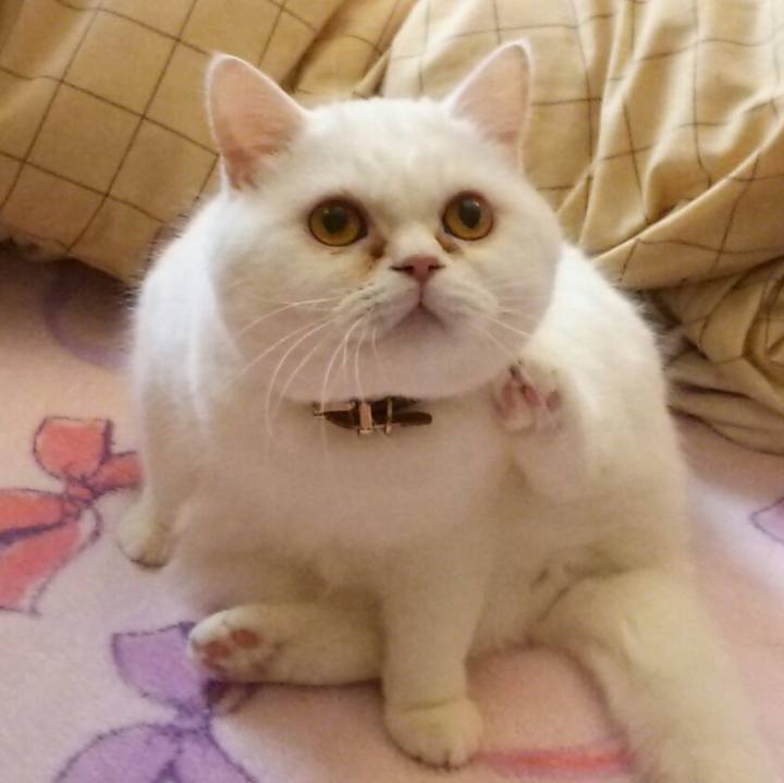 9b6583a8 3375 4eae a80a 5fe9d7367a64