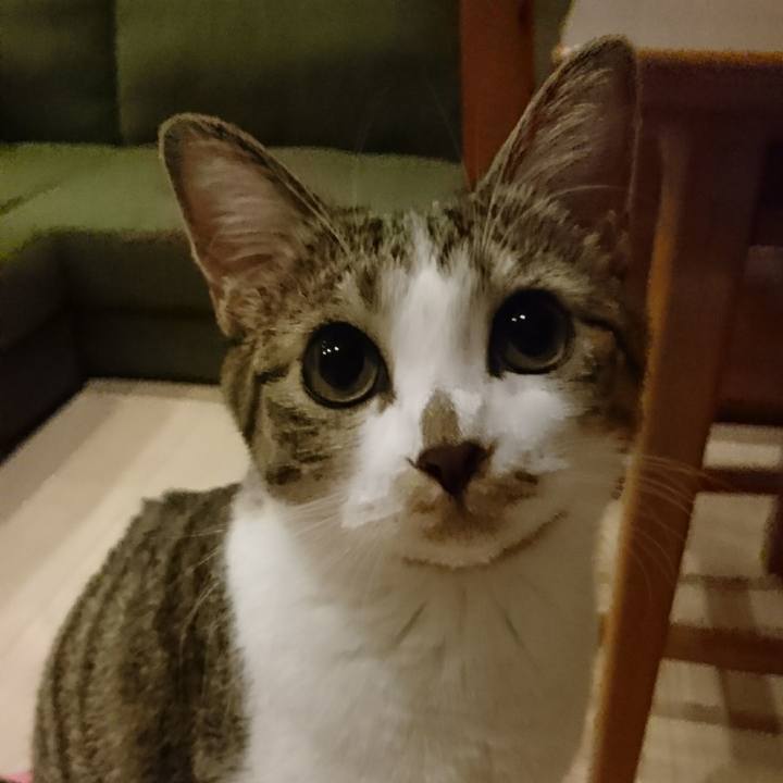 9b65e218 3d20 4048 94da 2b6427fd93a6