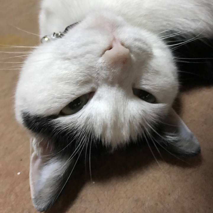 9b65e5a5 20d1 400c 9bd0 1c4a9dd35c67