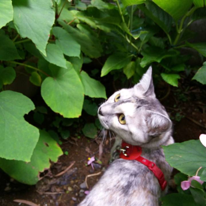 9b665b11 89c9 4f38 824f ab75e194d41f