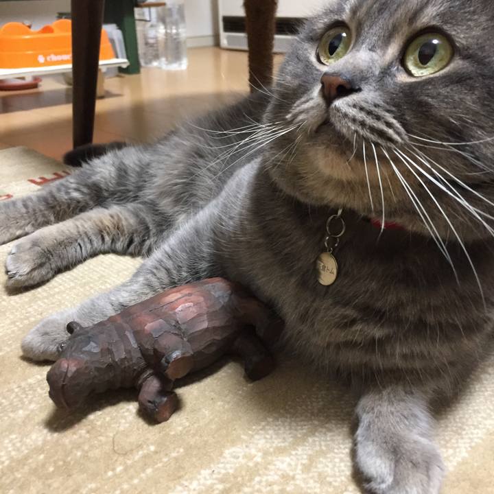 9b66892c 1d2e 489a a760 04cc3ac2feed