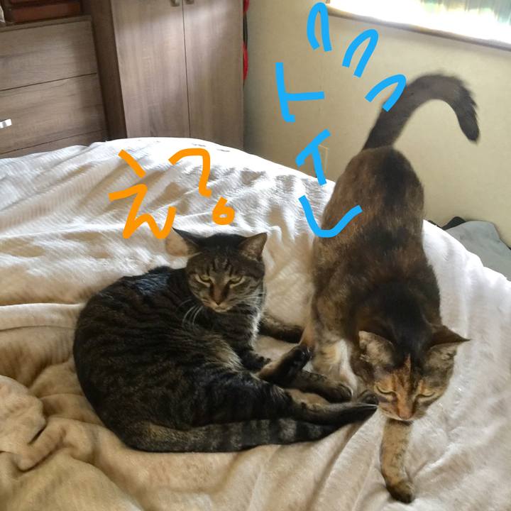 9b66a962 db65 4f84 a8f7 3e7cc86284bd