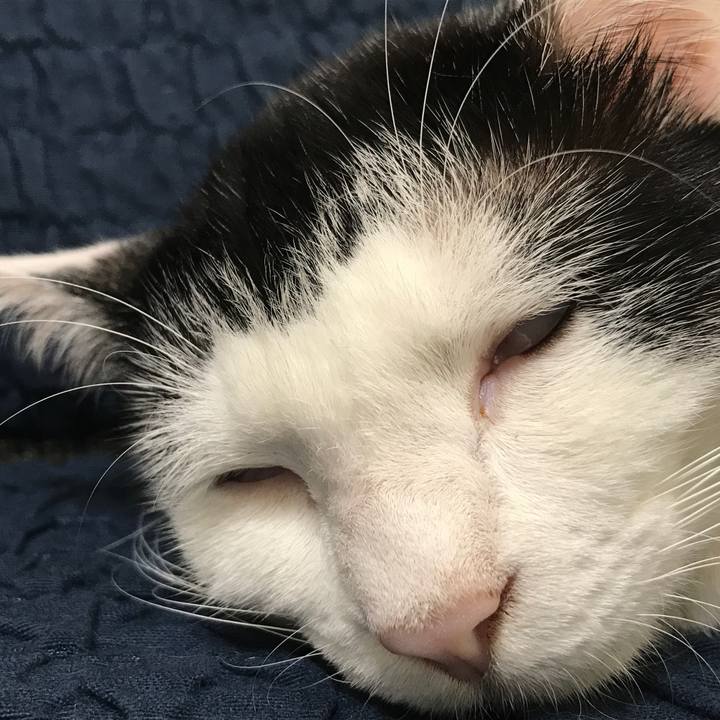 9b66fbf3 0b2c 4b1a bc83 d7f91ec95b1a