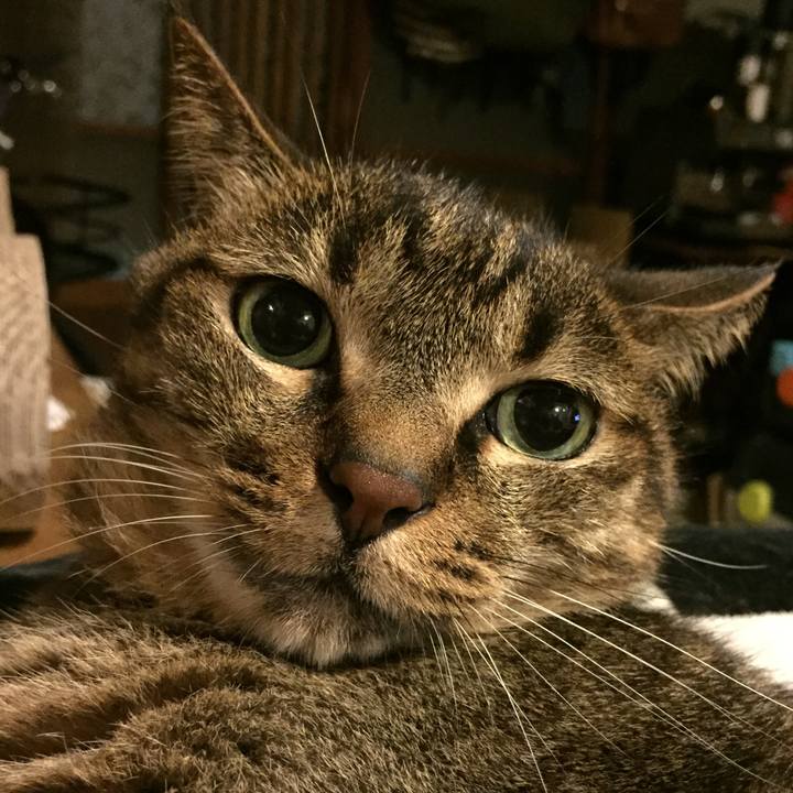 9b674939 79d8 4ad2 b8b9 d7eaf475447a