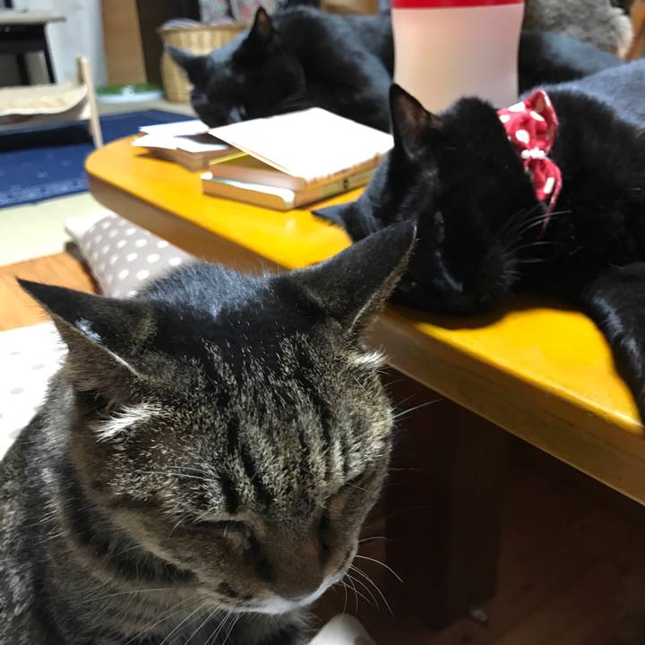 9b67c280 111b 4046 80b0 45751b310874