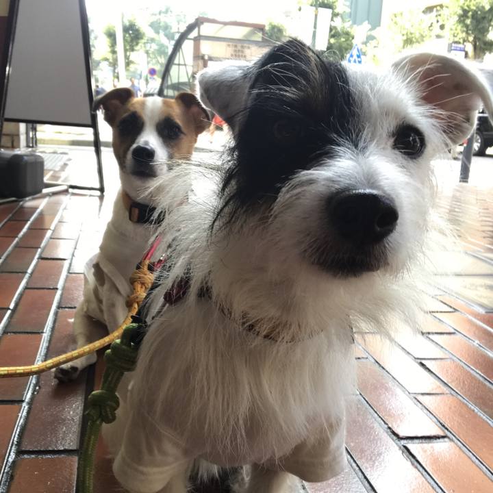 9b683f6b 24de 4154 bea5 5016b83ca6ae