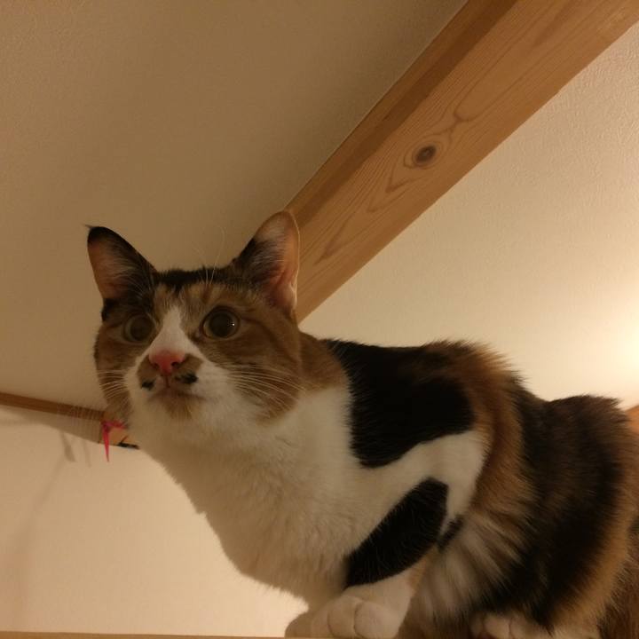 9b683fd7 d67c 4b8d af42 27f2b9004274