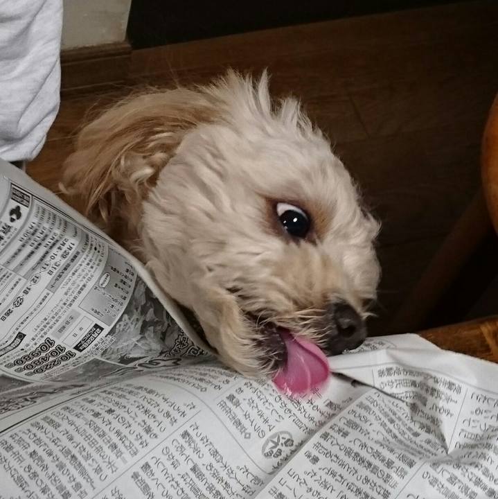 9b686654 ef9c 465d ba3f 850eefac5e96