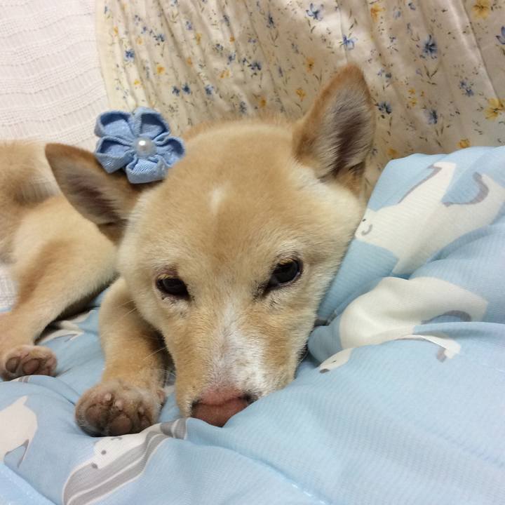 9b691bee f4b5 4457 8d0e 3f0c6d881a5e