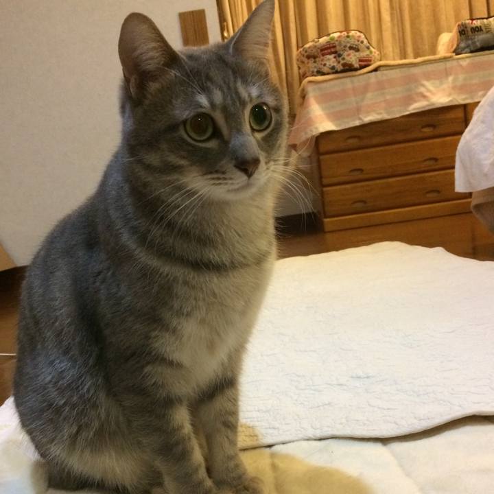 9b69243a 2728 41df 9707 4810e2ec4072