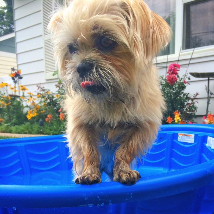 9b6961ef 44fe 41b6 9b0e cab548c37c4b