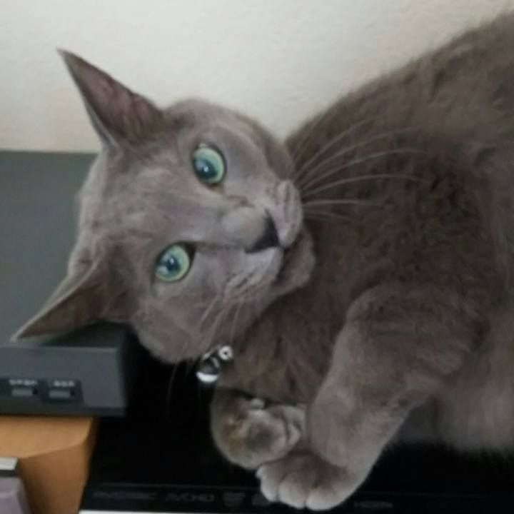 9b699a32 a427 4e13 8950 2e84faa1461f