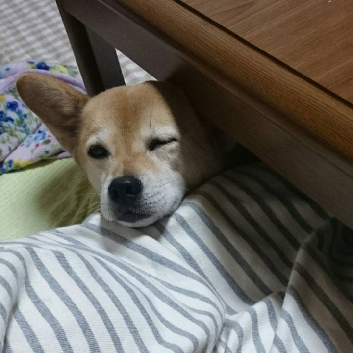 9b69fa6c a8c9 4568 a3ff 313cf63aa56e