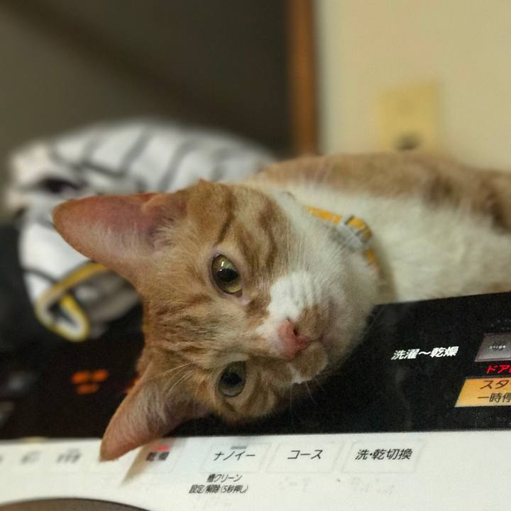 9b6a8487 3568 4da2 8963 6b4c57745d55