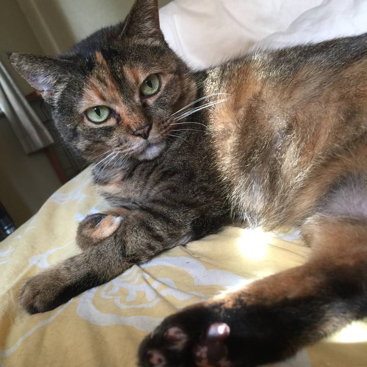 9b6b0c1a 871a 46de 843d 5ff5f74a48d5