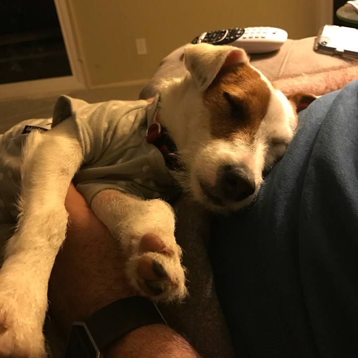 9b6b29c0 228f 4409 bf27 663c64b01e6a