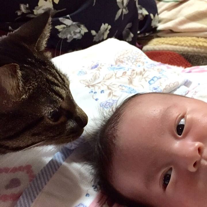 9b6c62d7 dc8c 4db3 9071 4498142b5743