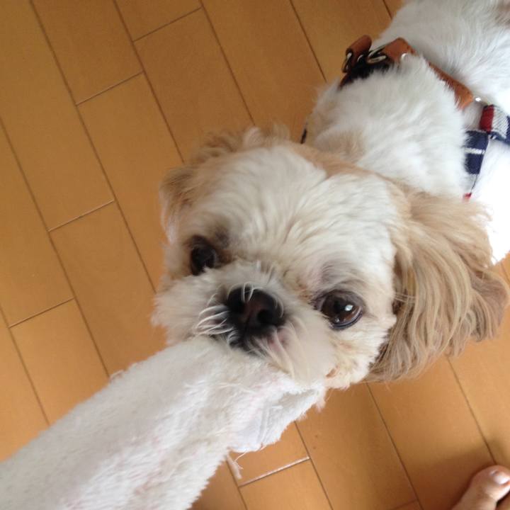 9b6d6027 a882 44dc bed7 5859f76418fb