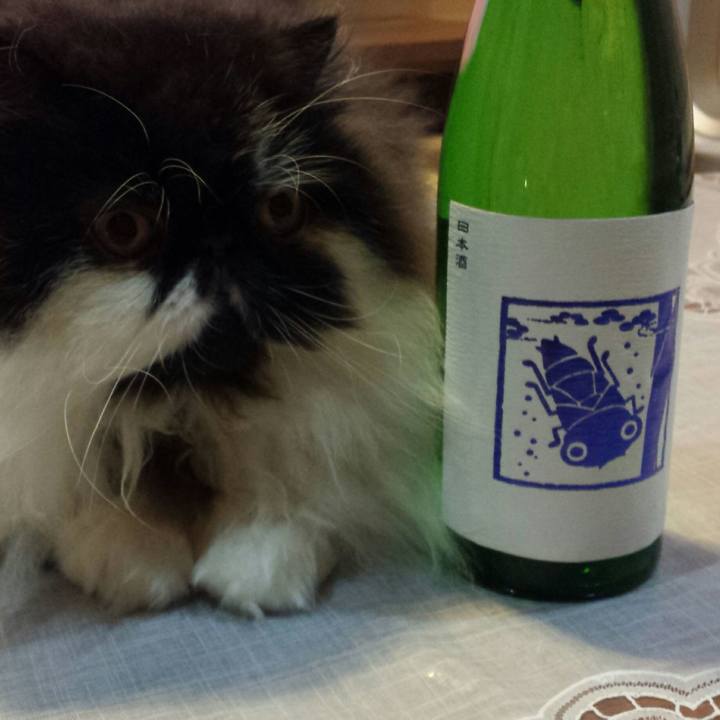 9b6d9100 5a1f 4d56 8272 26af22867cb0