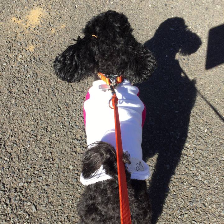 9b6e2294 6001 40de a077 3451ffa6d2d9