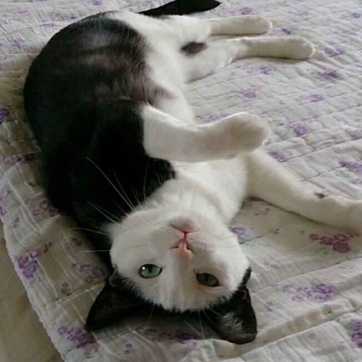 9b6eb825 94c4 426f 9b35 ab124de18c33