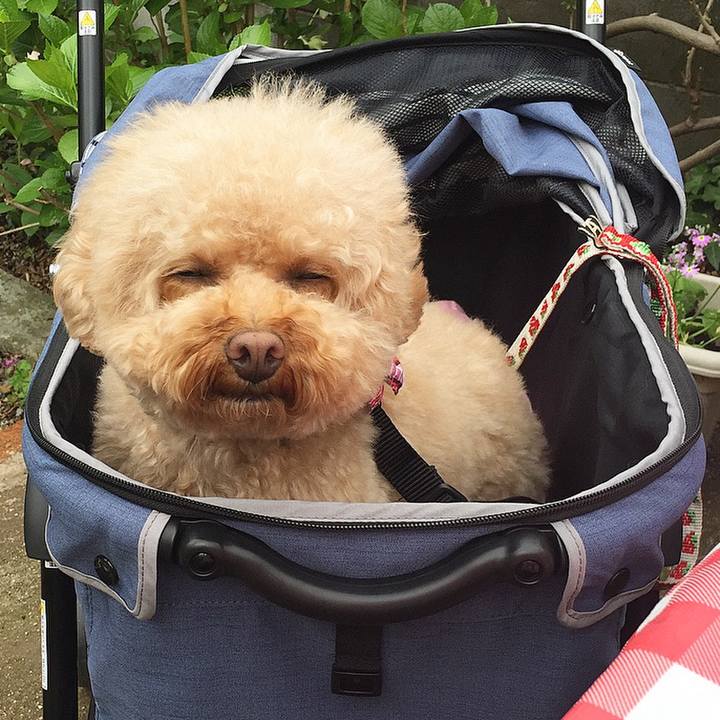 9b6ee52c 7bc7 4b64 9b5a a95c7346448c