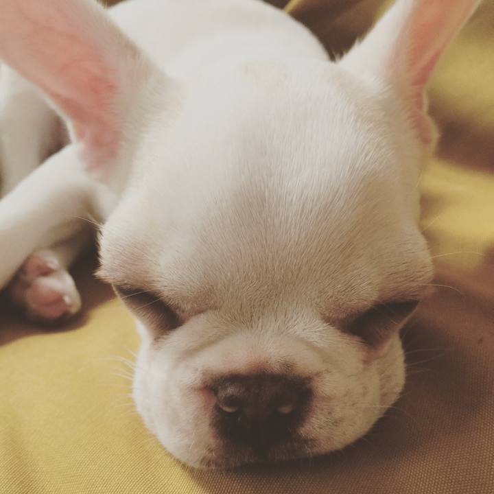 9b6f2e63 8738 4102 969e b7adf7c3f332