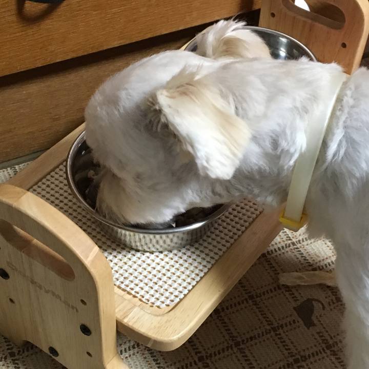 9b6f61d0 5e78 4351 825d 5e412b372d30