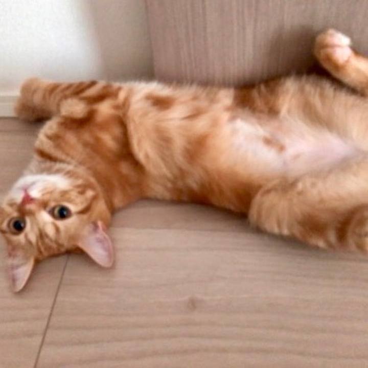 9b6fe00d fad1 40a4 9929 d4b34cbb5682