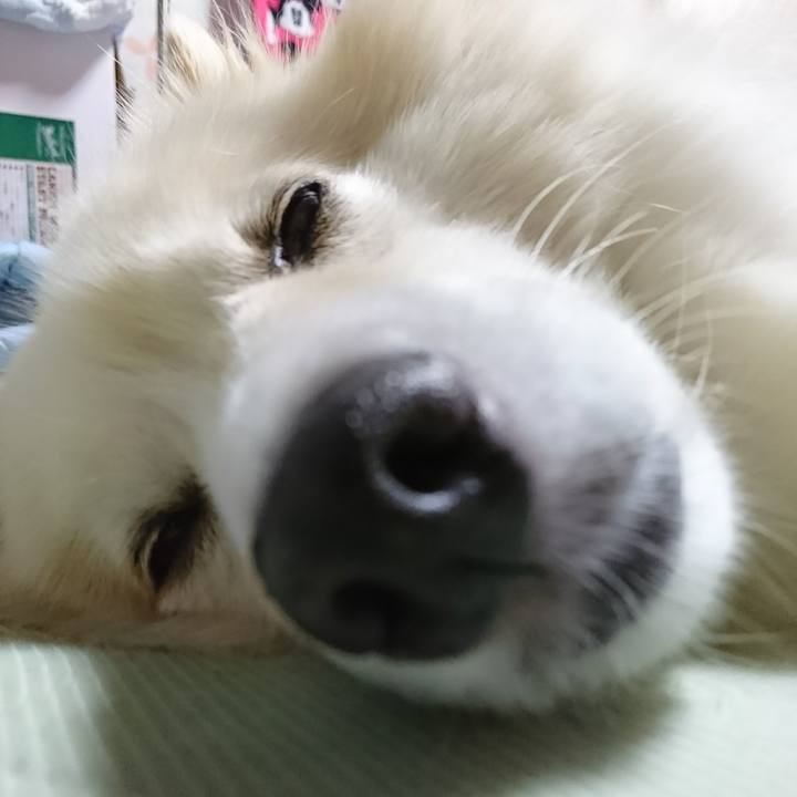 9b700598 fc04 4518 b5d0 d6e7bbe98416