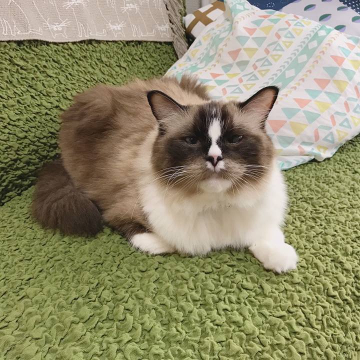 9b700a7b 88cc 441e b85a 8984a89d12e9