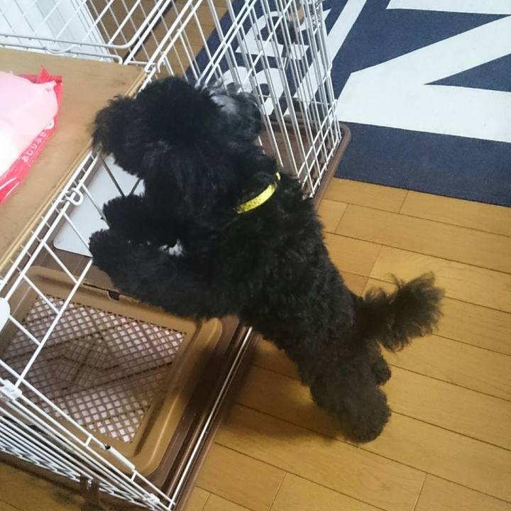 9b706f8b 023a 45d8 a4f5 d774db80ee3a