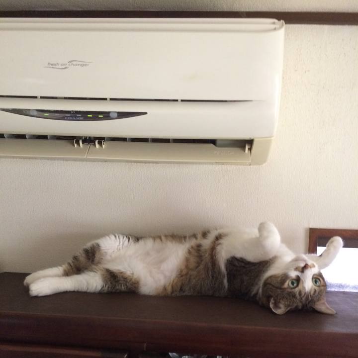 9b708922 dfae 4a37 97bd 7e31ce37bb4f