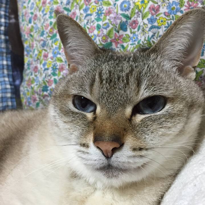 9b70f9f6 51ff 4240 b08c 6e4ddf7de3d1