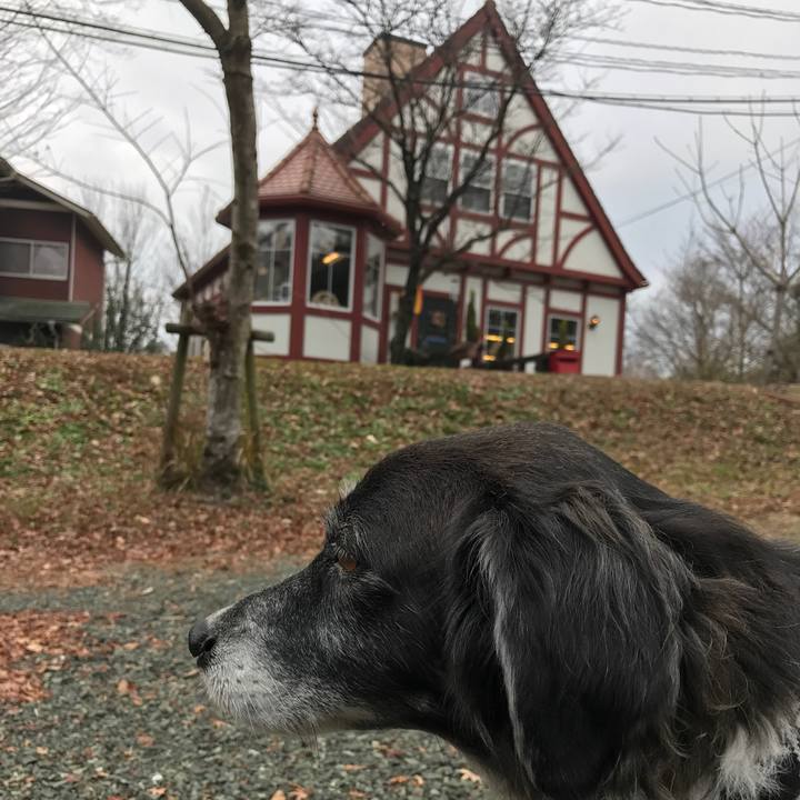 9b715c60 51f6 42fb a7a6 754dabc0ac70