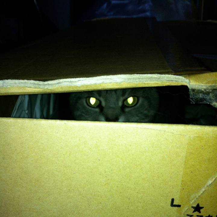 9b7168cd 458a 459e bfcb 74647779b8dc