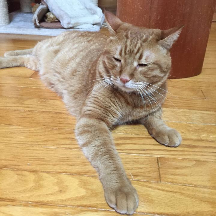 9b7231de 4ade 4caf b0b6 f7a170081be5