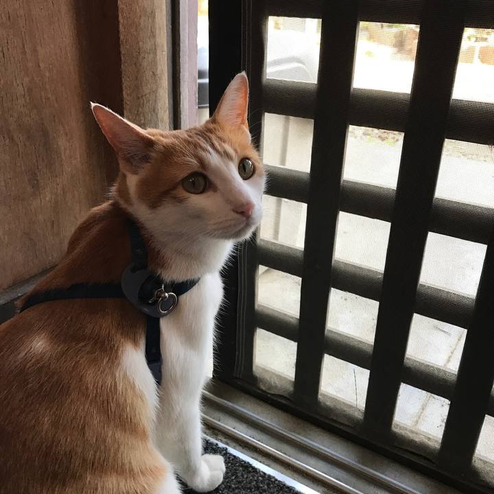 9b7243e5 e5af 46ef 812e 2d3cc1e87c98