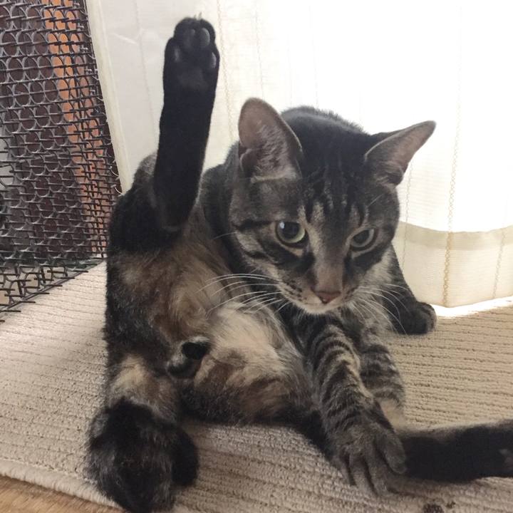 9b732c3e a3db 4062 94ea af8f52cf4ff9