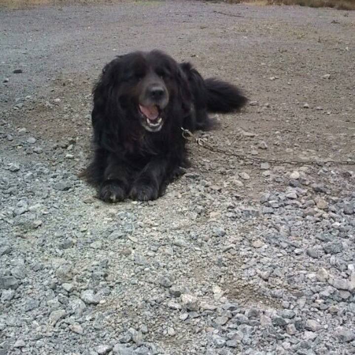 9b73501e b572 4fa8 b559 3d6dc0048dda