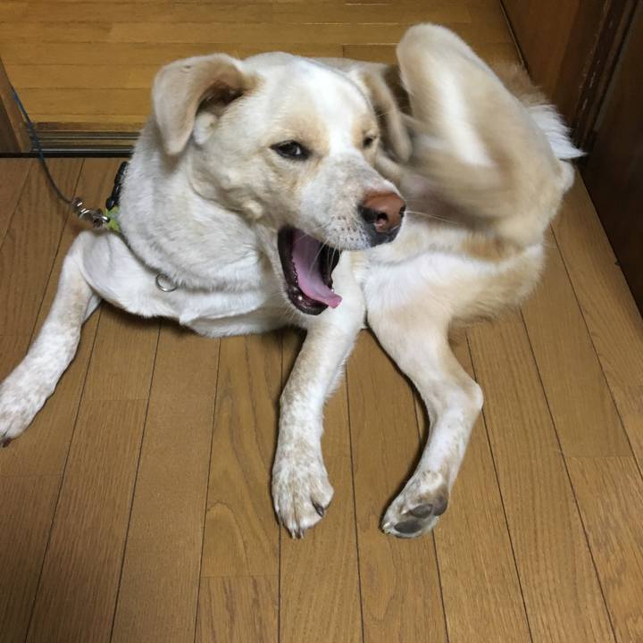 9b73a3cf cbb1 4335 8d74 74cf98b049c4